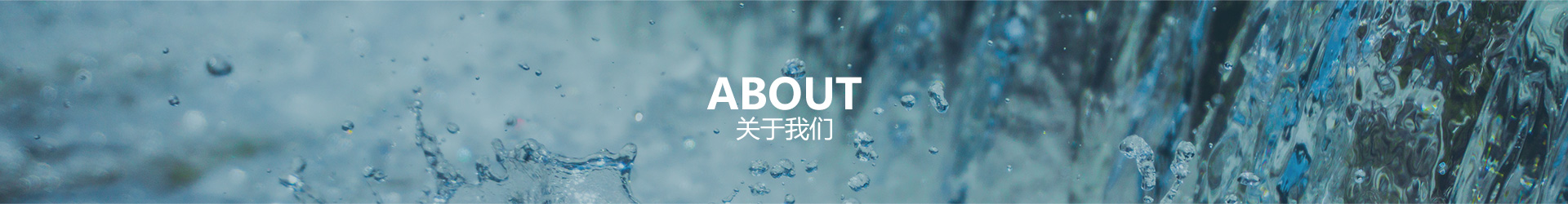 环球体育官网总站